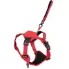 Zolux Easyride Hondentuig Rood (L, Chien, Promenade), Collier + laisse