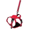 Zolux Easyride Hondentuig Rood (XS, Chien, Général), Collier + laisse