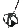 Zolux Easyride Hondentuig Zwart (L, Chien, Général), Collier + laisse