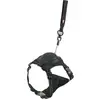 Zolux Easyride Hondentuig Zwart (XS, Chien, Général), Collier + laisse