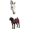 Diego & Louna Teddy Hondenjas Roze 31 cm