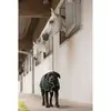 Diego & Louna Manteau Pour Chien Nylon Teddy