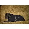 Diego & Louna Teddy Hondenjas Groen 31 cm