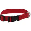 Collier Pour Chien Riding World Pat 30 Cm Mixte Rouge