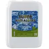 Super Anti Algues Piscine - EDG - Bidon 5 litres - Action Curative Anti Eau Verte et Eau Trouble