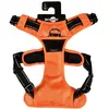 Bobby Rando Walk Harnais pour chien, petit chien, en nylon, sûr, confo...
