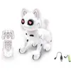 Lexibook Power Kitty   Mon chat robot télécommandé programmable et tactile