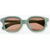 Béaba Lunettes de soleil Square Lucky Vert sauge (9-24 mois)