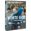 Pyramide White God - DVD