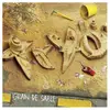 SALUT O PRODUCTIONS Grain de sable