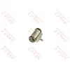 Wielremcilinder BWF373 TRW