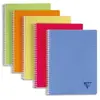 Clairefontaine Linicolor cahier reliure intégrale 17x22 100p Q5x5 assortiment FRESH