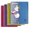 Clairefontaine 329156C Linicolor Intensive Evolutiv'Book Un Cahier à S...