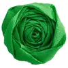 Clairefontaine Papier Crépon - Vert pré - 2,5 x 0,5 m