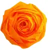 Maildor - Papier Crepon Superieur 250x50 Jaune Or