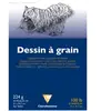 Clairefontaine Bloc dessin grain fin A4 20F 224g