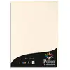 Clairefontaine 4204C - Étui de 50 Feuilles - Format A4 (21x29,7cm) - 1...