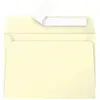Pollen Enveloppe 120g 114x162 canari pqt 20