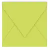 Pack de 20 enveloppes Pollen 140 x 140 mm Vert Bourgeon