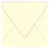 Pollen Enveloppe 120g 120x120 ivoire pqt 20