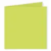 POLLEN BOURGEON 20 CARTE DBL 135X135