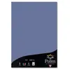 Pollen Etui de 25 Feuilles 210x297 myosotis 210g