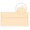 Clairefontaine Enveloppe Pollen 110x220 opaline pqt 20