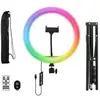 Lampe LED TNB Influence Anneau led 12''