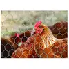 Grillage pour animaux triple torsion gris - H.1.5 x L.5 m - maille H.13 x l.13 mm