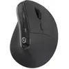 Souris sans fil ESSENTIELB Ergo Sans fil