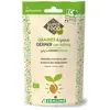 Germline Graines à Germer Alfalfa Bio 150g