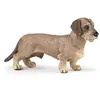 Papo Speelfiguur - Huisdier - Hond - Ruwharige tekkel