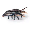 Papo Aliment - Homard - Mixte - Enfant - A partir de 3 ans - Noir