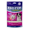 Ceva Prozym Lamelle Chien - Ceva 5 Lamelles