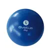Sveltus Balle Lestée Sveltus 2kg
