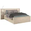 Parisot Lit adulte ESCALE 160x200 cm - Décor chêne du Japon - 2 tiroirs + Tête de lit - L222,8 x H98,2 x P216,8 cm - Fabriqué en France