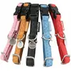ZOLUX Collier reg mc leather 10mm r0