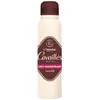 Rogé Cavaillès Absorb+ 48H Homme Anti-transpirant Spray 150 ml
