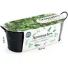 Jardinière zinc noir 30 cm - Aromates