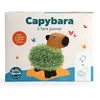 Capybara terre cuite poreuse avec graines de chia