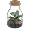 Terrarium Bota verre H19,5cm Atmosphera Créateur D'intérieur