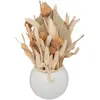 Compo fleurs séchées Sea view céramique H25cm Atmosphera Créateur D'intérieur