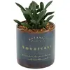 Plante artificielle Bota noir H10cm Atmosphera Créateur D'intérieur