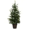 Fééric Lights and Christmas Kerstboom - Ø50xH100cm - Kerstdecoratie - ...