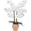 Orchidée artificielle Dena H65cm rose terracotta Atmosphera Créateur D'intérieur