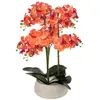 Orchidée artificielle en pot "Sanae" pot en ciment orange H65cm - Atmo...