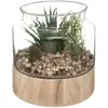 Plante artificielle terrarium pot verre H17,5cm Atmosphera Créateur D'intérieur