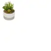 Atmosphera - Plante artificielle pot céramique bicolore D14 D, 14,5 x ...