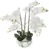 NO NAME ORCHIDÉE POT CIMENT MARBRE H65 Blanc