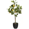 Citronnier artificiel H70 cm - Multicolore - Atmosphera createur d'interieur